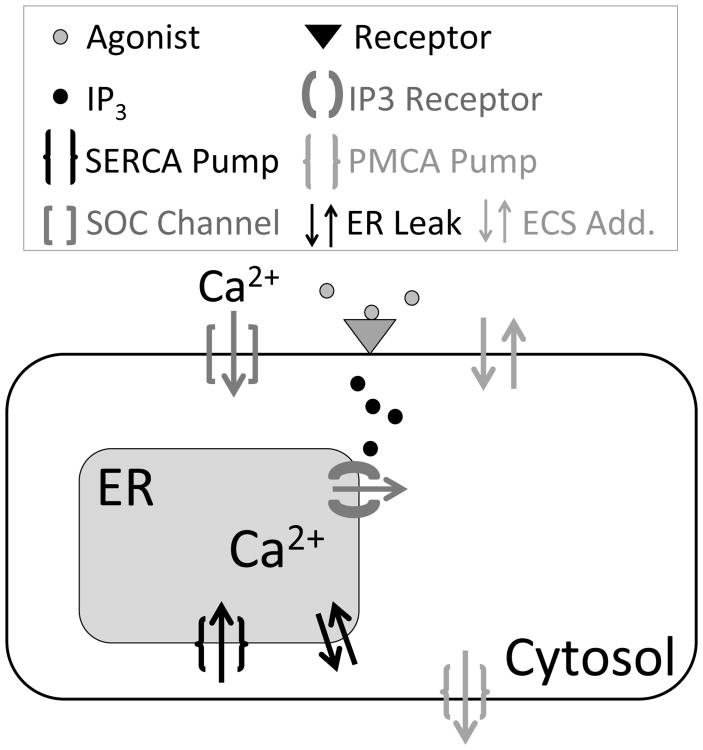 Fig. 1