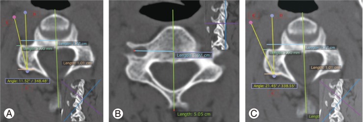 Fig. 7