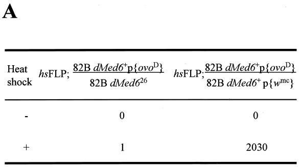 FIG. 5