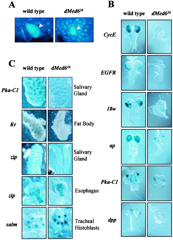 FIG. 8