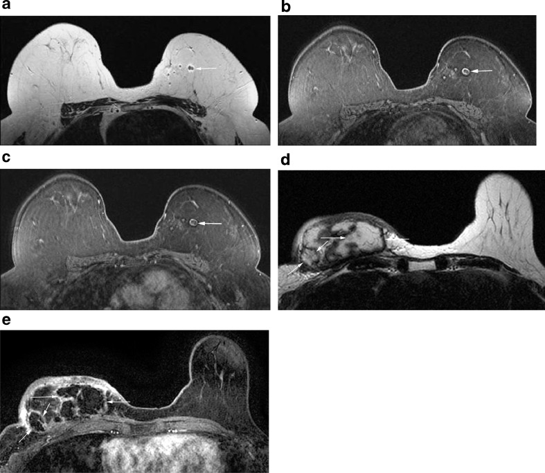 Fig. 9