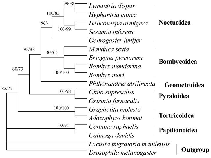 Figure 10