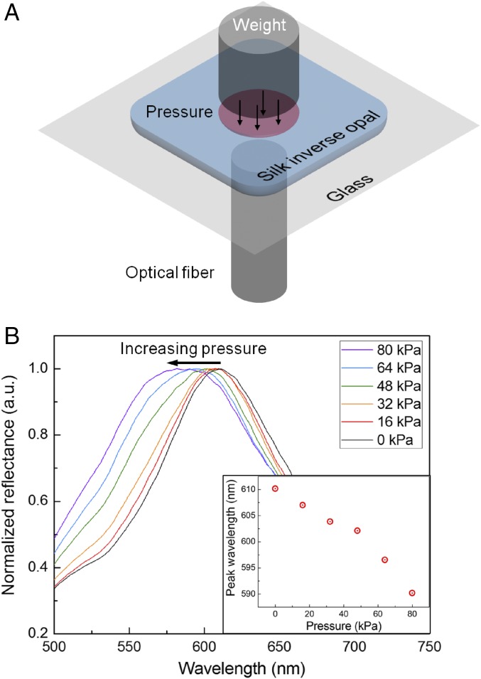 Fig. 4.