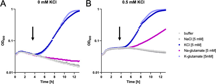 FIG 2