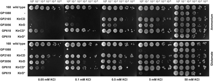 FIG 6