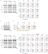 Extended Data Fig. 6 |