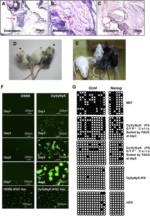 Figure 2