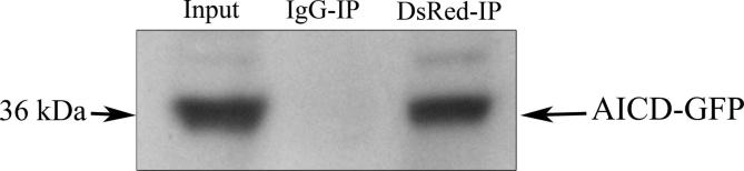 Supplementary Figure 3