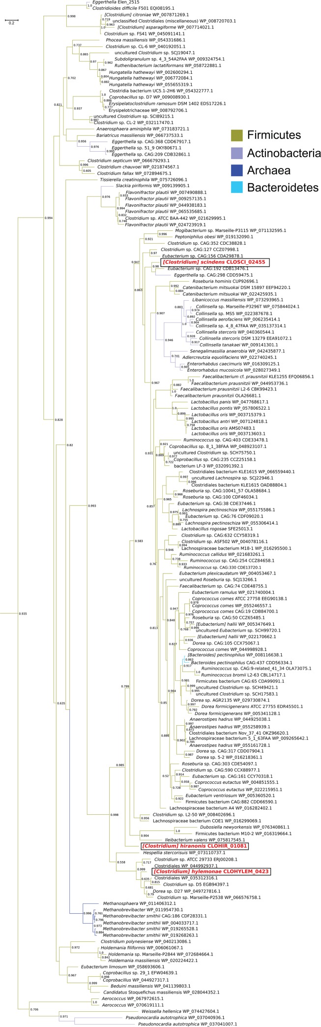 FIG 6