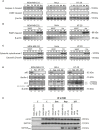 Figure 7