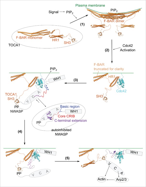 Figure 2.