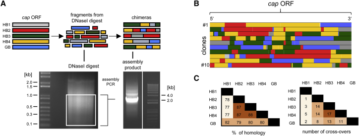 Figure 6