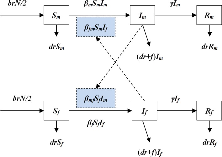 Fig. 1.