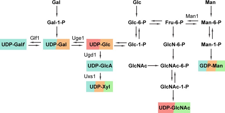 Fig. 3.