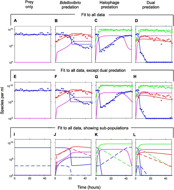 FIG 6