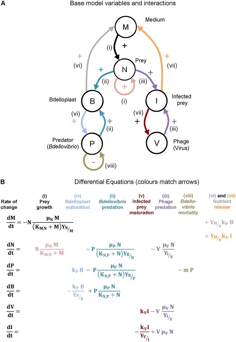 FIG 3