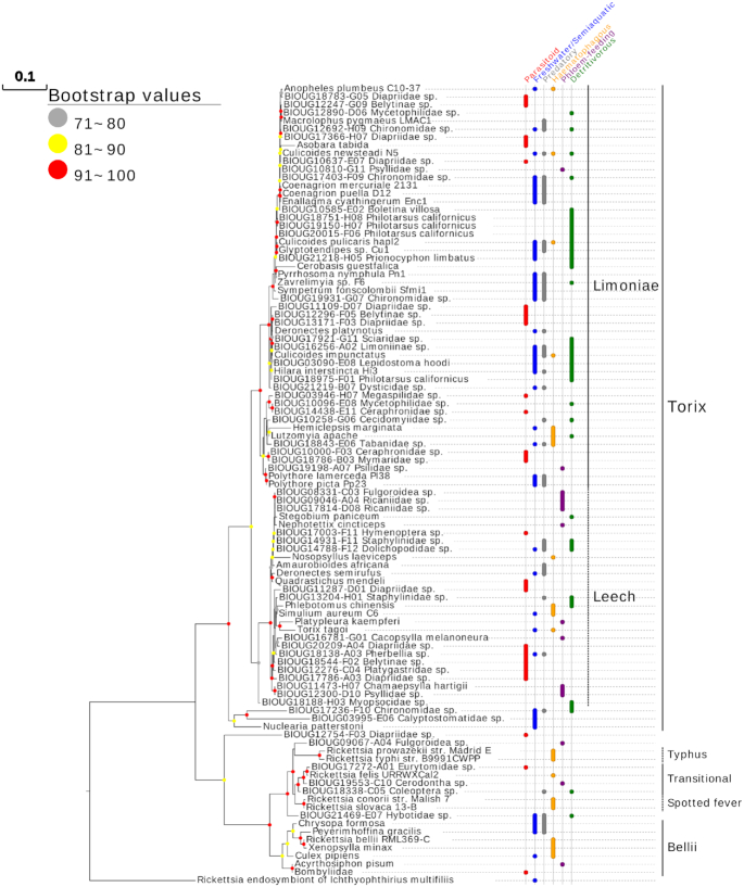 Figure 6: