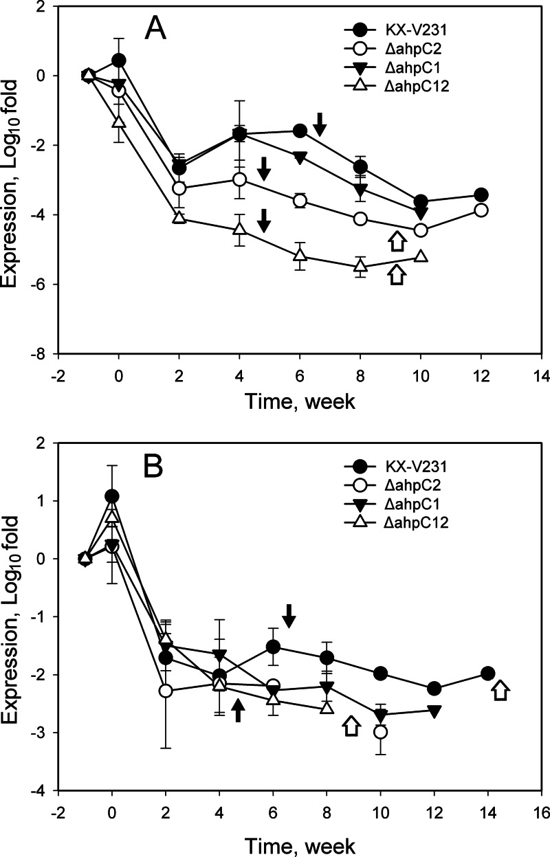 Fig 6