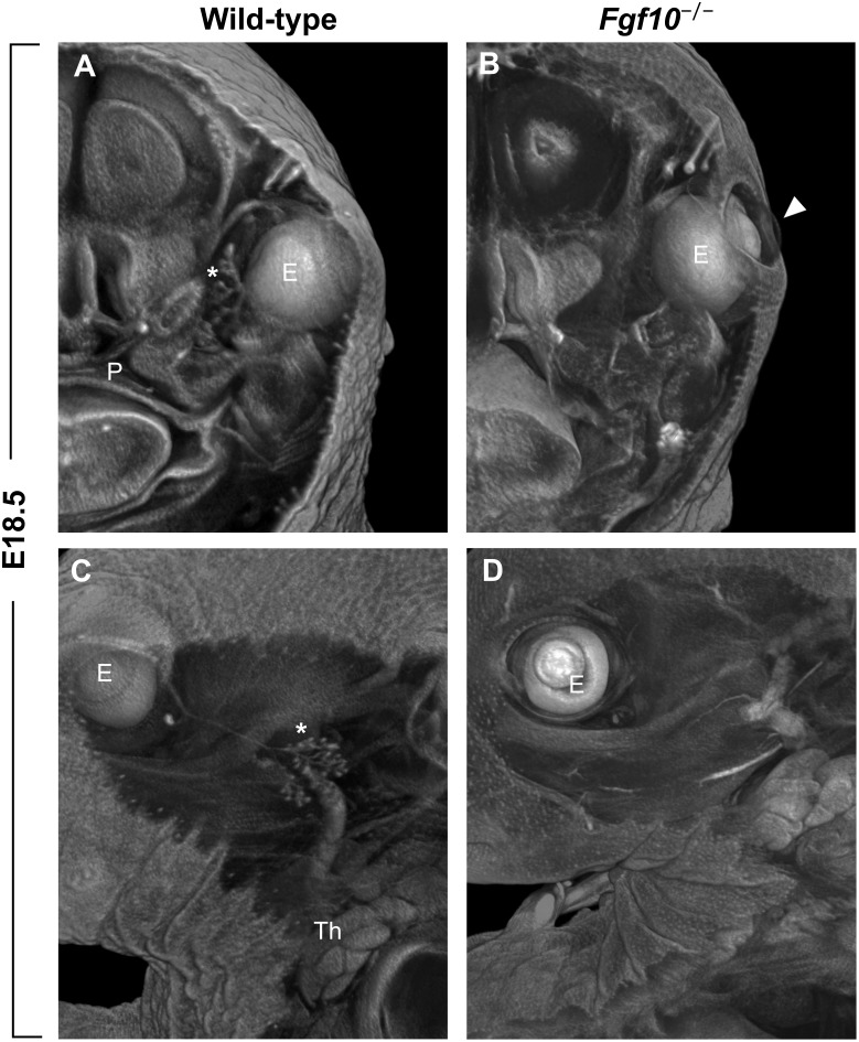 FIGURE 3