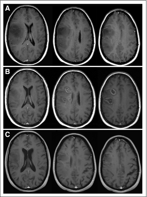 Fig 1.