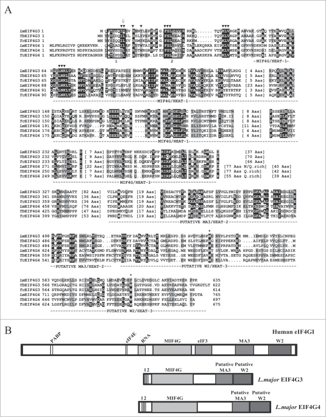 Figure 1 (See previous page).