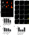 FIGURE 4.
