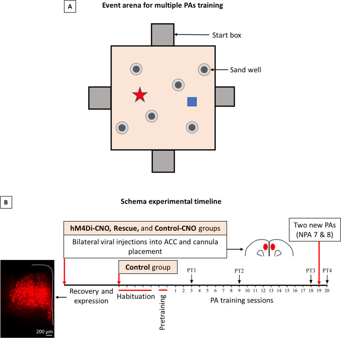 Figure 2—figure supplement 1.