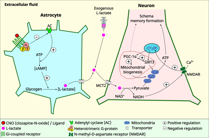 Figure 6.