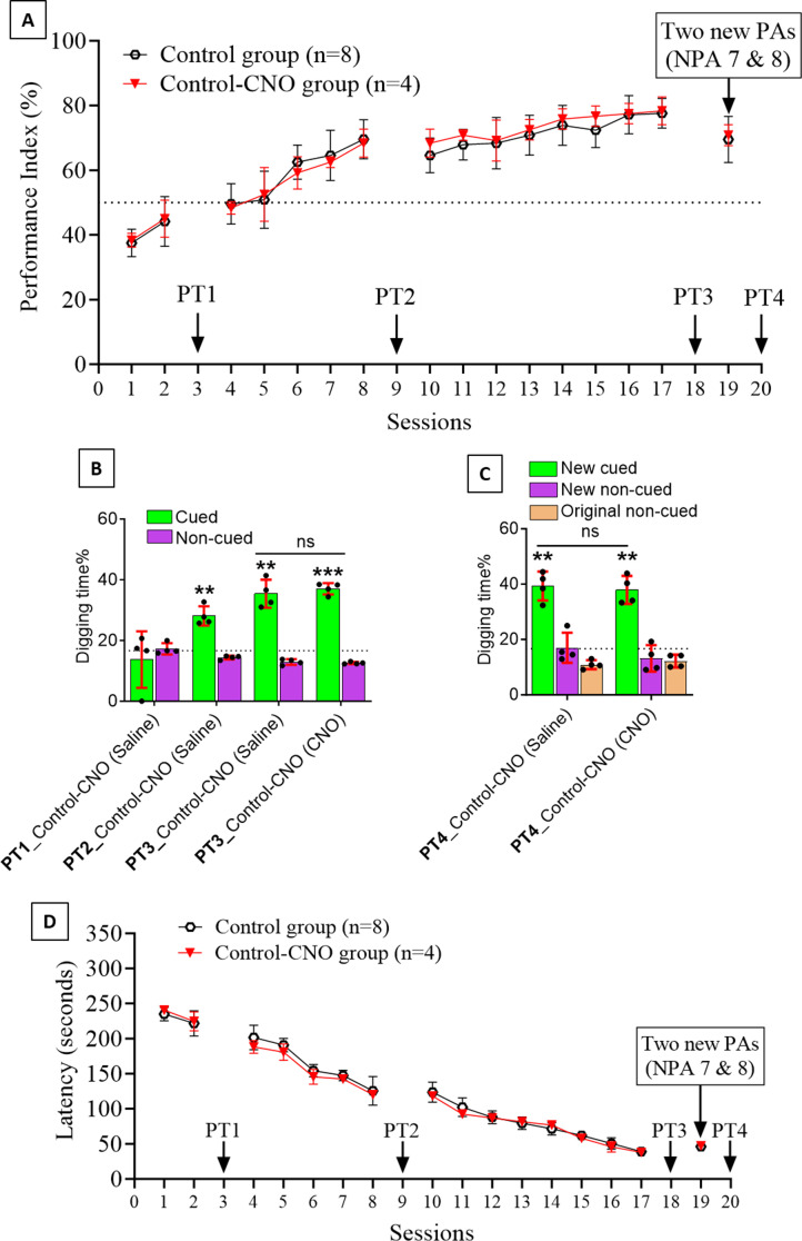 Figure 2—figure supplement 2.