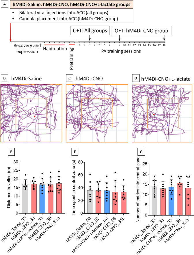 Figure 2—figure supplement 3.