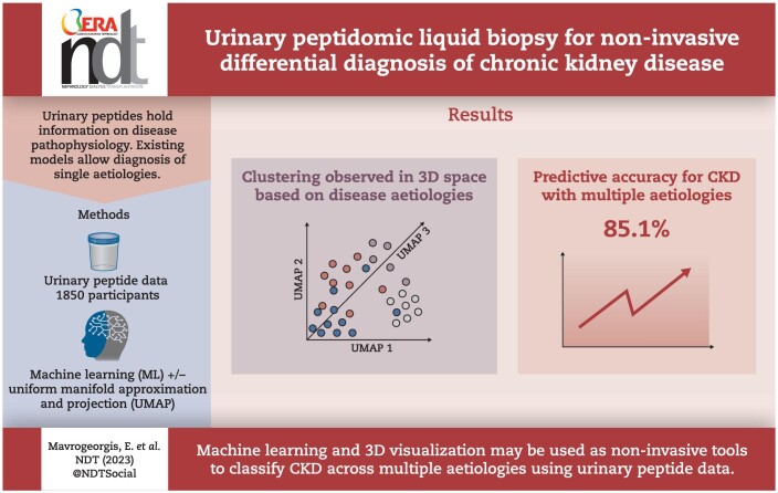 Graphical Abstract