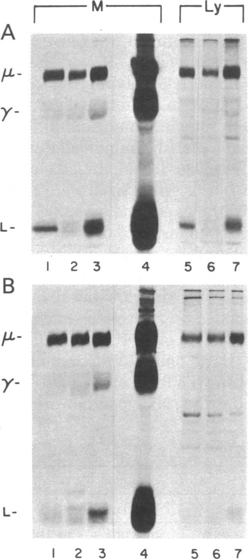 graphic file with name pnas00635-0317-a.jpg