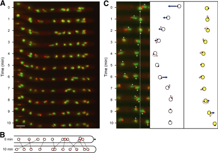 Figure 2.