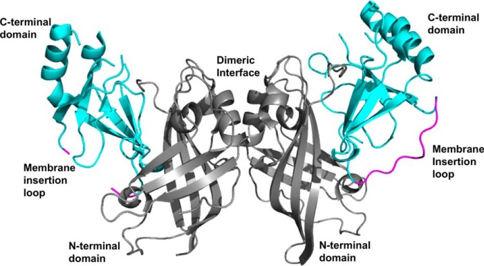 FIGURE 1.