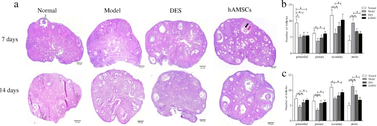 Fig. 6