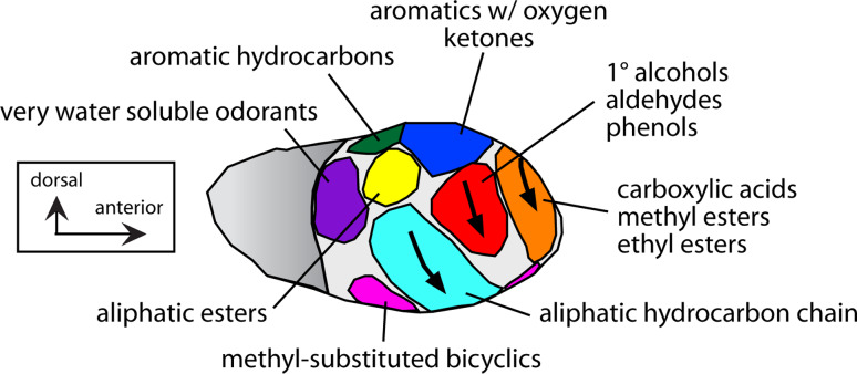 Fig. 2