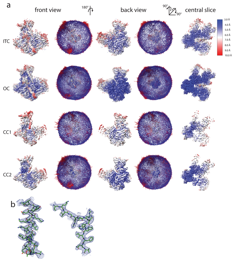 Extended Data Figure 3