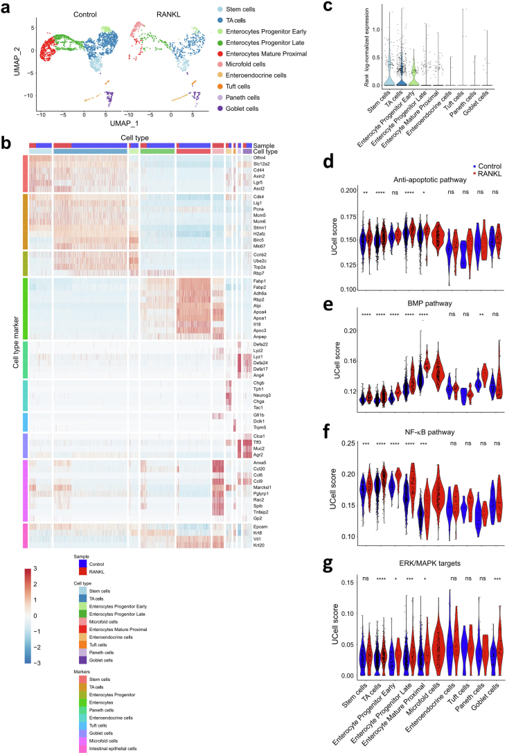 Extended Data Fig. 3