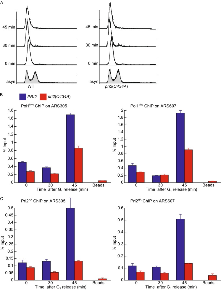 Figure 5