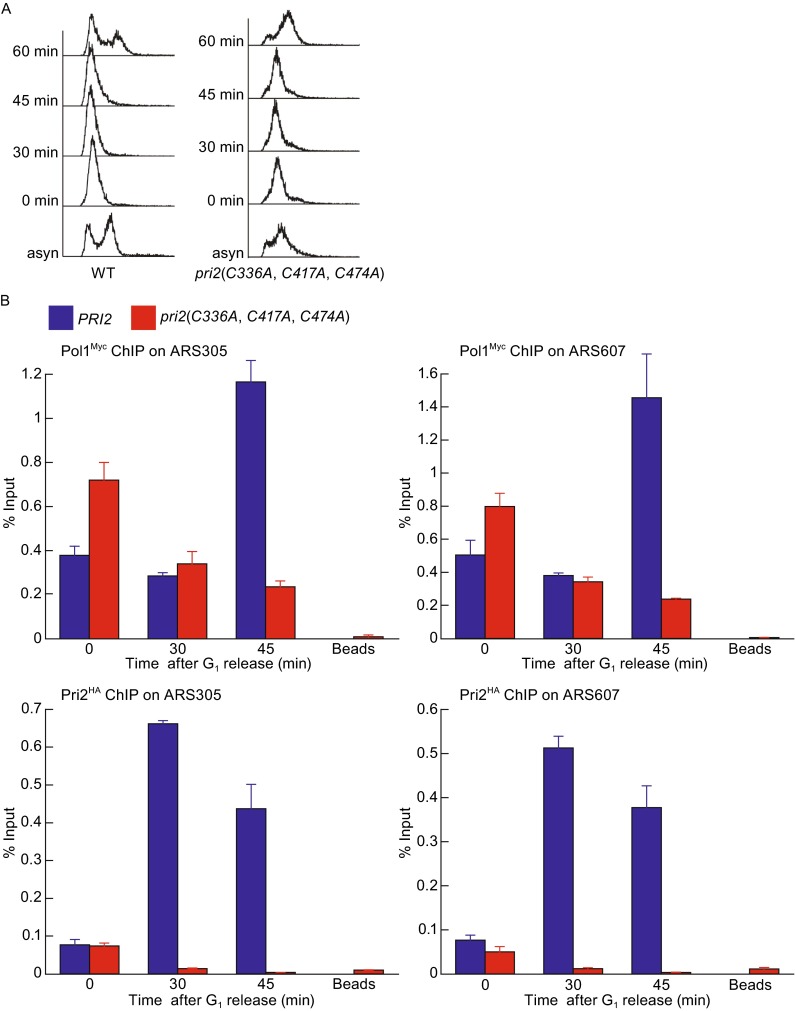 Figure 4