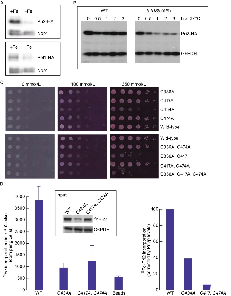 Figure 6