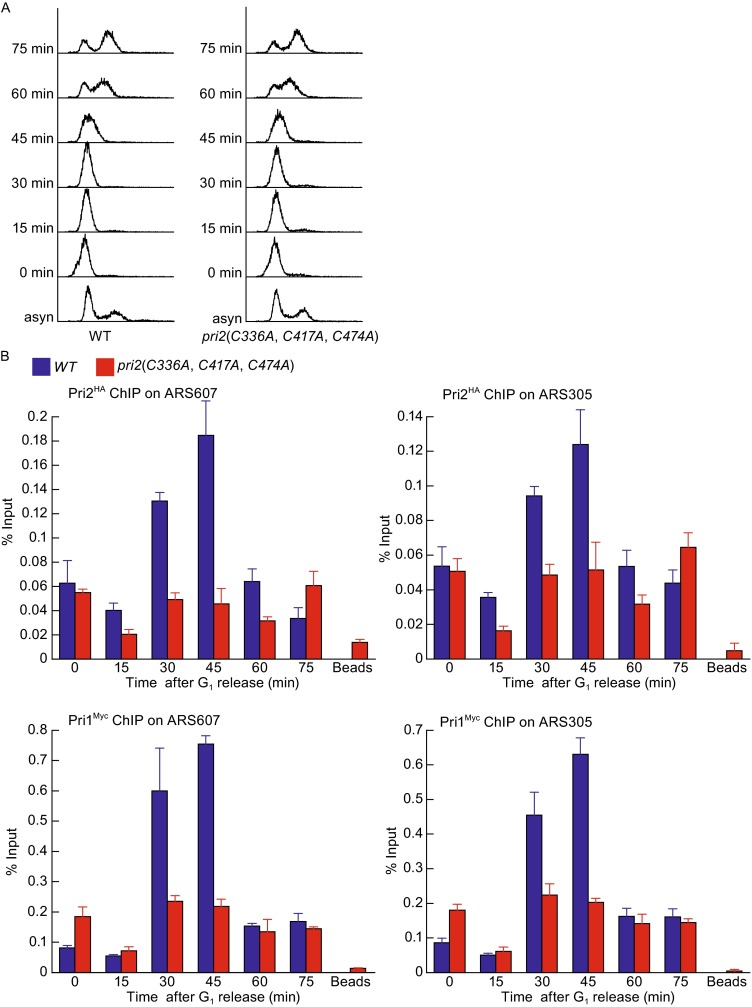 Figure 3