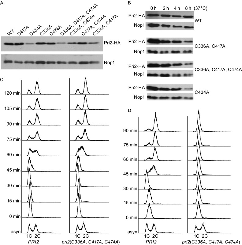 Figure 2