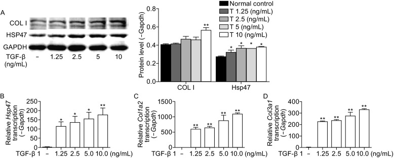 Figure 5