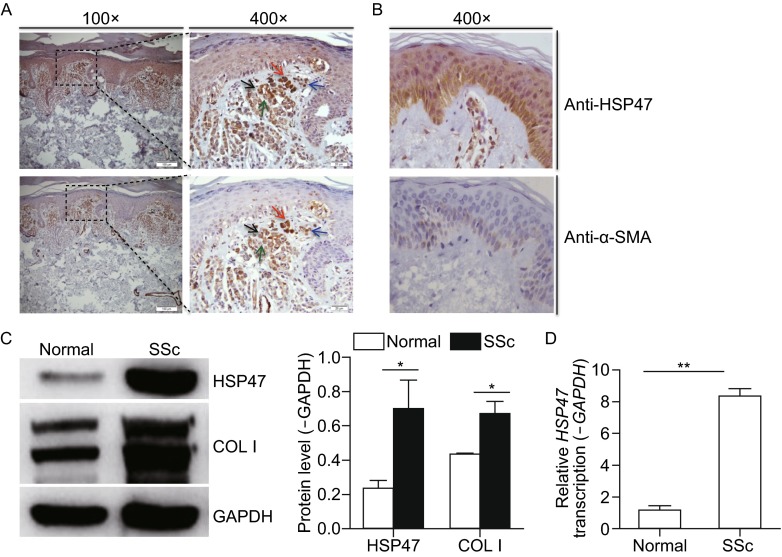 Figure 2