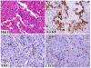 Fig 6.