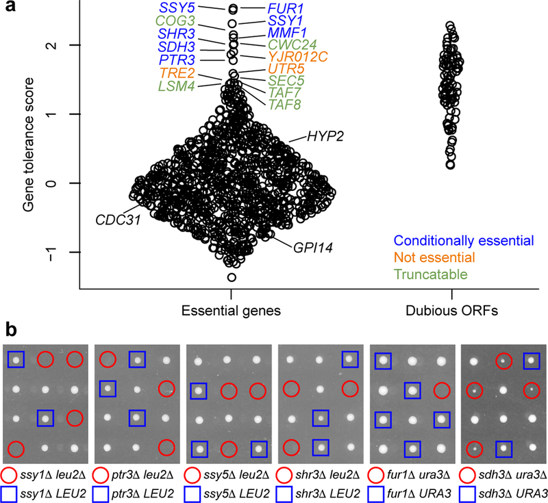 Figure 2: