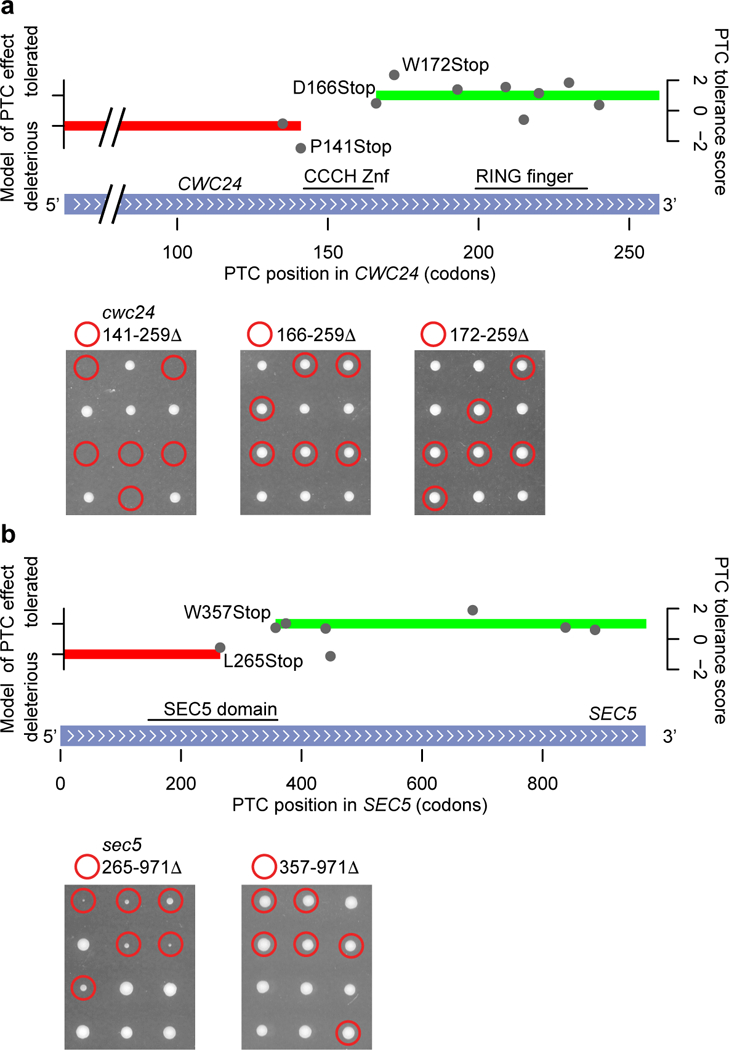 Figure 3: