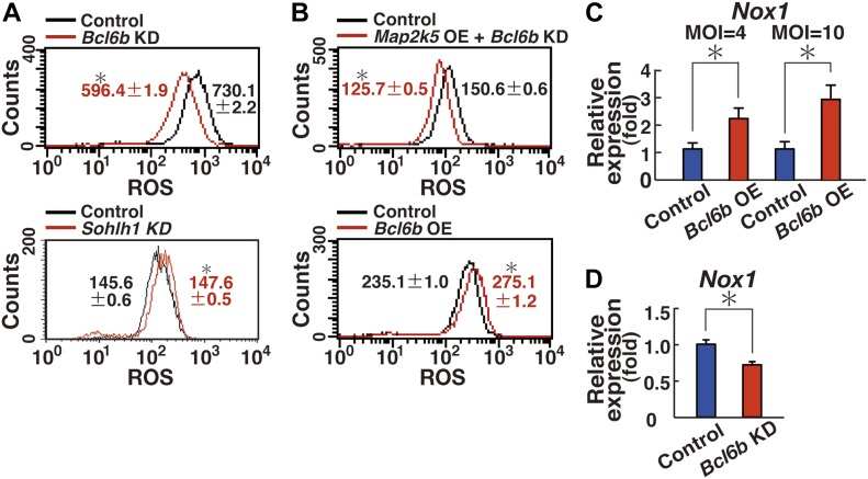 Figure 6.