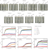 Figure 1—figure supplement 2.